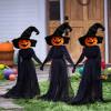🔥Limited time offer 49%👍3 Pcs LED Halloween Black Witches with Hats Stakes,🎁Halloween Gift