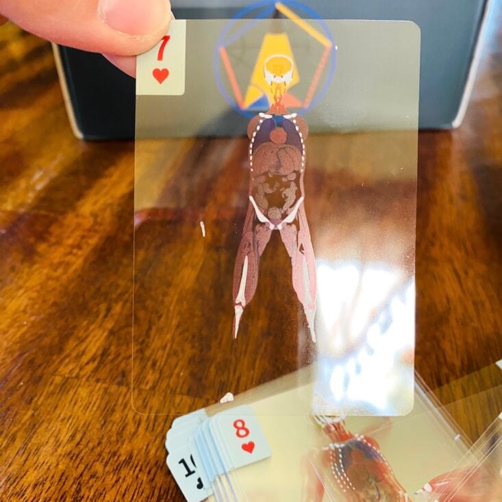 🎁TikTok Last Day Sale -50% OFF🔥The Body Deck