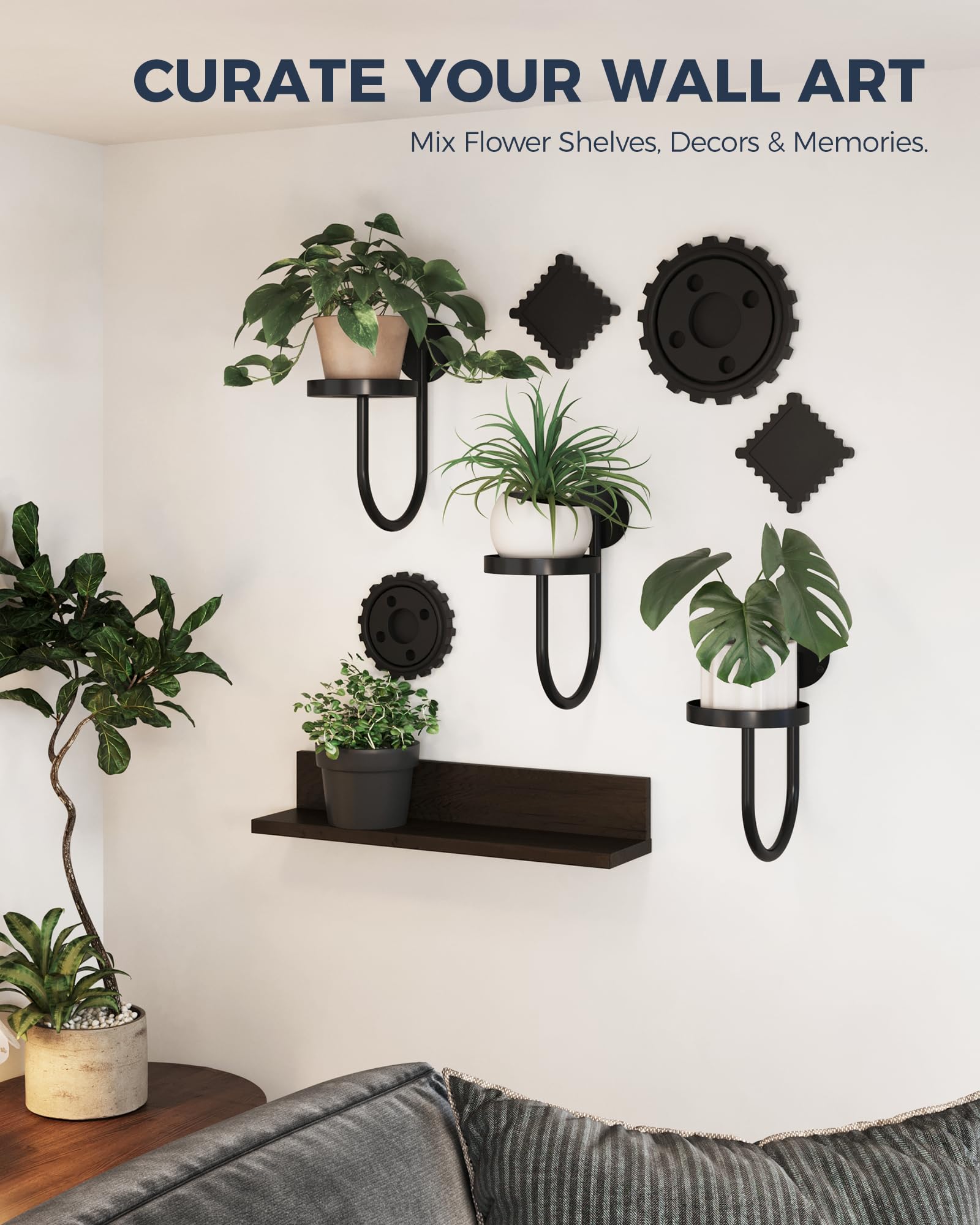 🎄TikTok Christmas Sale -70% OFF✨Wall Plant Holders Modern Indoor Window Plant Hangers
