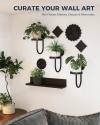 🎄TikTok Christmas Sale -70% OFF✨Wall Plant Holders Modern Indoor Window Plant Hangers