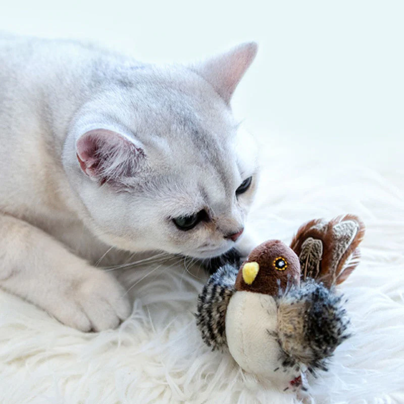 🔥Heißer Verkauf 49% Rabatt🔥Katzenspielzeug - Simulierter zwitschernder Vogel