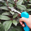 (🔥SPRING HOT SALE-48% OFF) Portable Garden Pruning Scissors(BUY 2 FREE SHIPPING TODAY!)