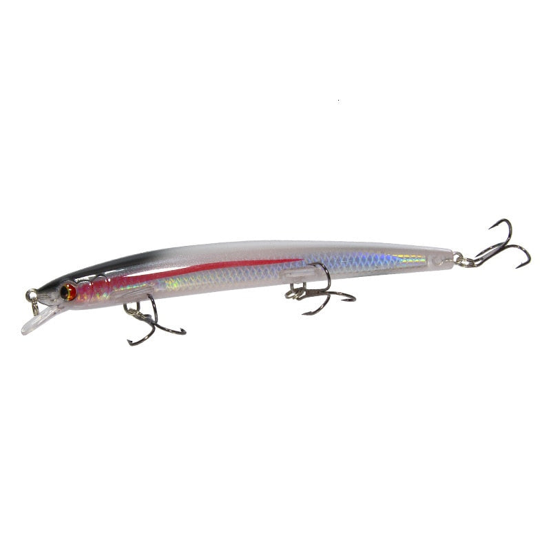 Minnow Fishing Lure