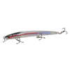 Minnow Fishing Lure