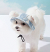 🌲Early Christmas Sale 50% Off😻Pet Summer Funnel Ear Fisherman's Hat, Buy 4 Get Extra 30% OFF & Free Shipping