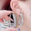 Fashion Oval Earrings