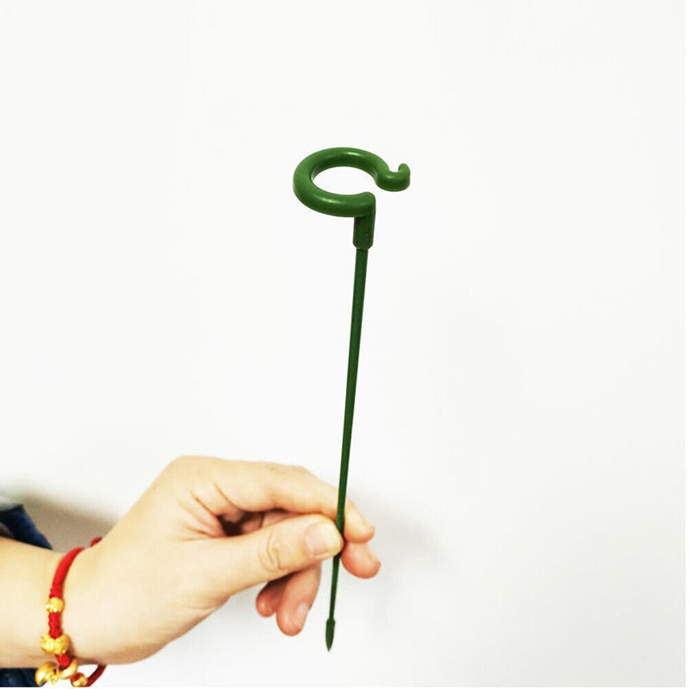 🔥(Last Day Promotion - 49% OFF) Plant Support Stake(10 PCS)