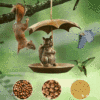 Father's Day Sale 50% Off🐦Girl Next Door Animal Bird Feeder with Umbrella