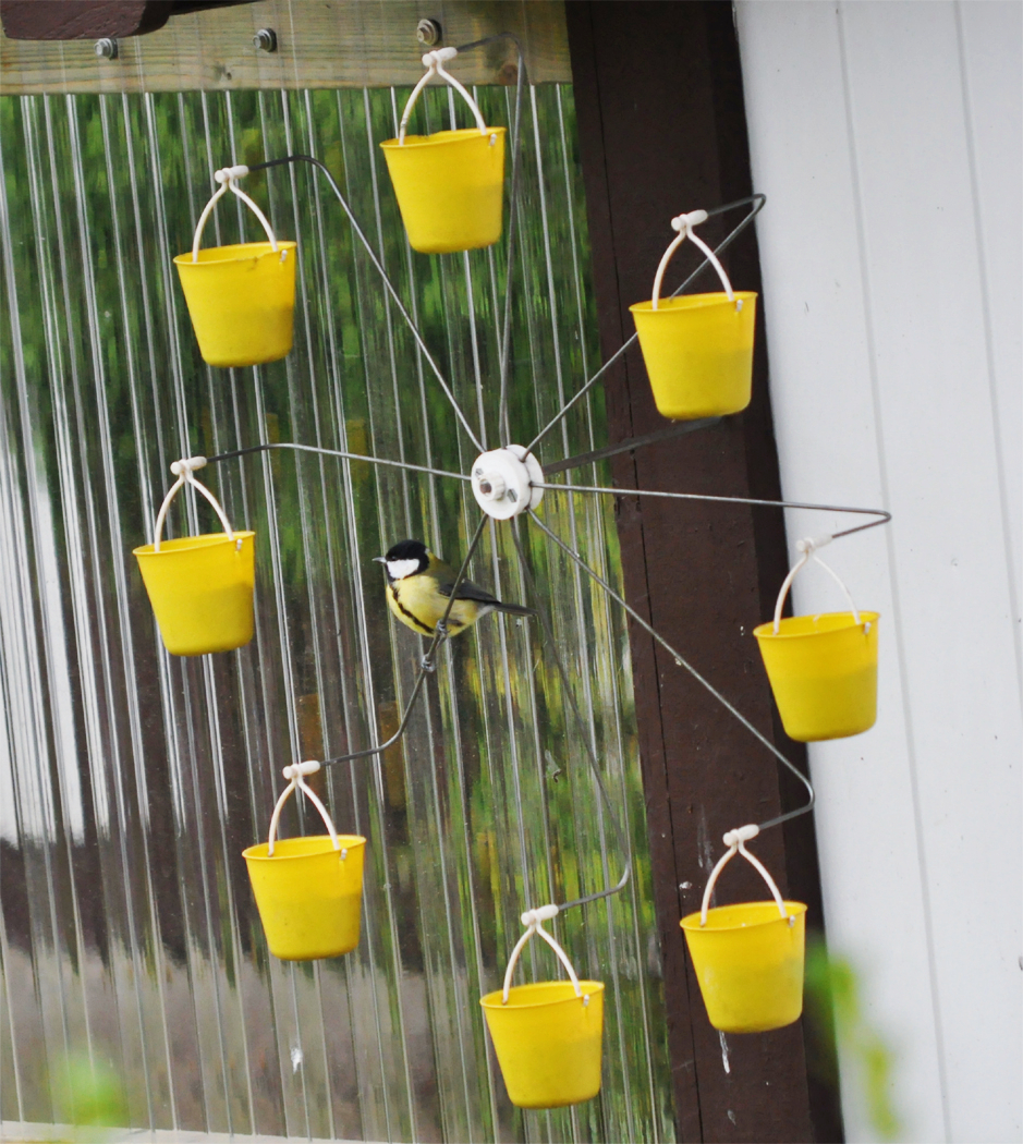 🔥Final Day Pre-sale Offer - Fun Ferris Wheel Bird Feeder 🐦 Let more cute birds come to your window