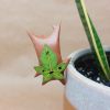 🔥Last Day: 50% Off! 🔥 Korok Pot Buddy