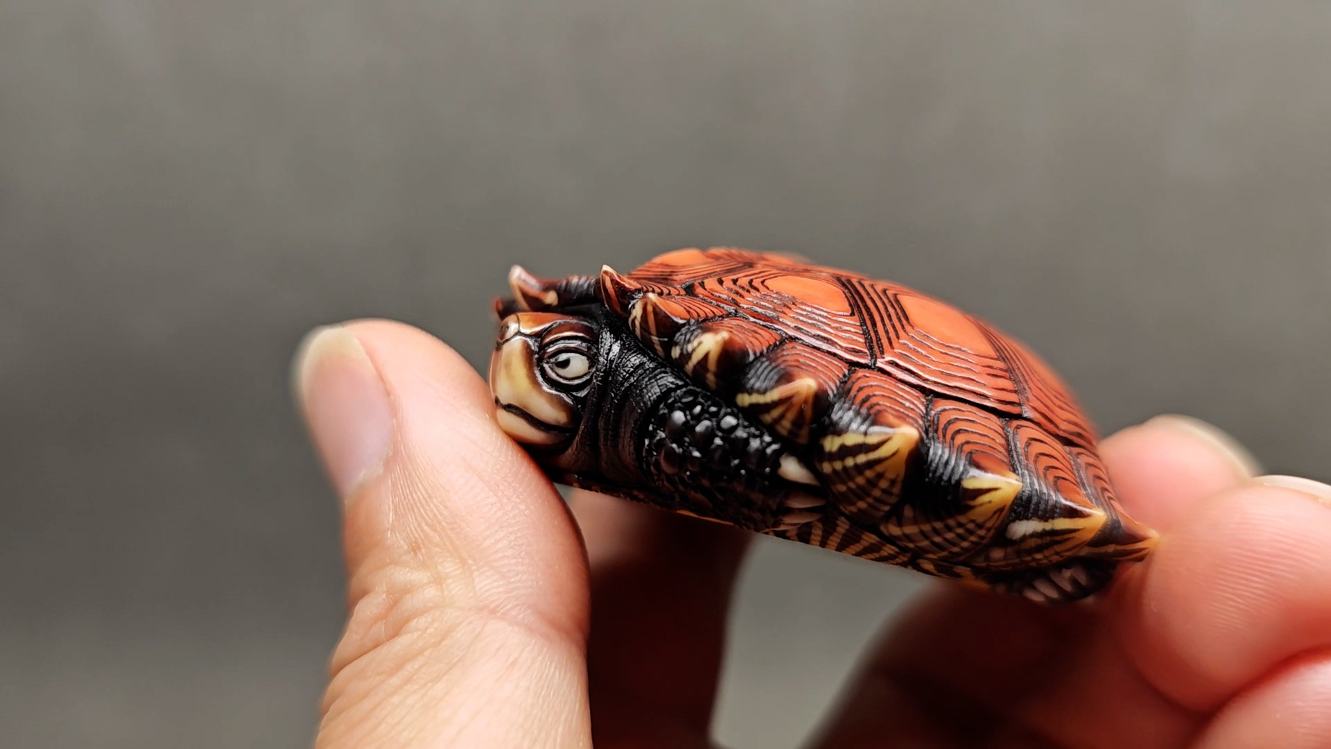 🐢✨Handcrafted Turtle- Map, Tortoise, Mata, and Spiny Turtles