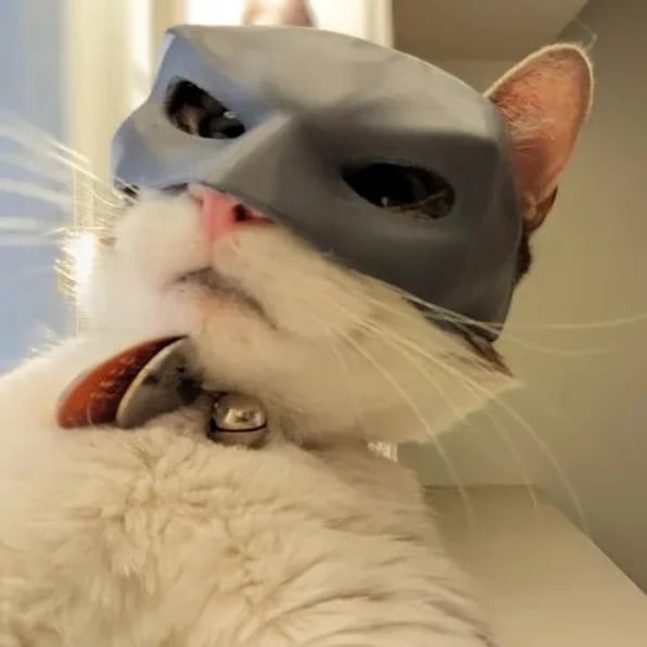 (🎃Halloween Hot Sale - 49% OFF) 🐱🦸‍♂️Bat Cat Avenger Mask