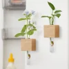 🔥Last Day Promotion 70% OFF🔥Wooden Test Tube Vase DIY Flower Arrangement