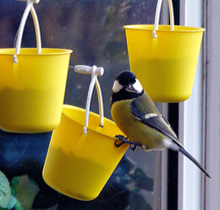 🔥Final Day Pre-sale Offer - Fun Ferris Wheel Bird Feeder 🐦 Let more cute birds come to your window