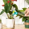🌼Last Day 75% OFF🌸Bottle Cap Sprinkler💥