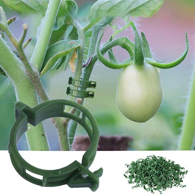 🎄Plant Support Clips - A Good Helper For Your Plants🎄