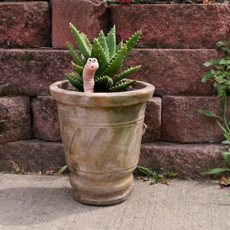 🎁TikTok Last Day Sale - 70% OFF🎉Thirsty Worm moisture monitor for your potted plant