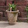 🎁TikTok Last Day Sale - 70% OFF🎉Thirsty Worm moisture monitor for your potted plant