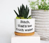 🔥New Year Promotion 50% Off-🌱Funny Plant Pot