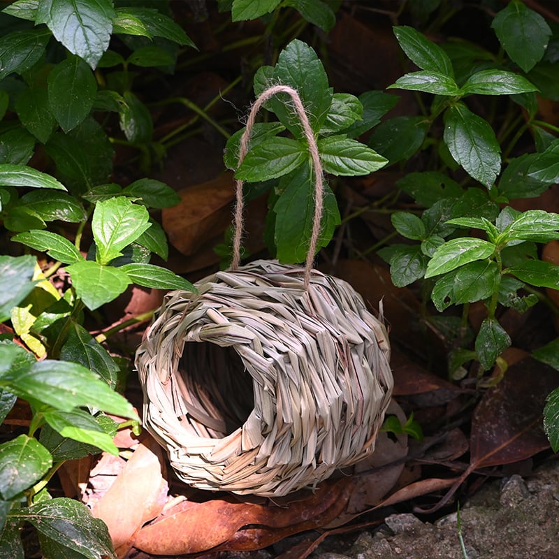 🔥Limited-time offer🐦Hummingbird Nest House