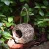 🔥Limited-time offer🐦Hummingbird Nest House