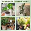 🍂TikTok Fall Mega Sale - 70% OFF🎉Plant Support Stakes🌿💖💕