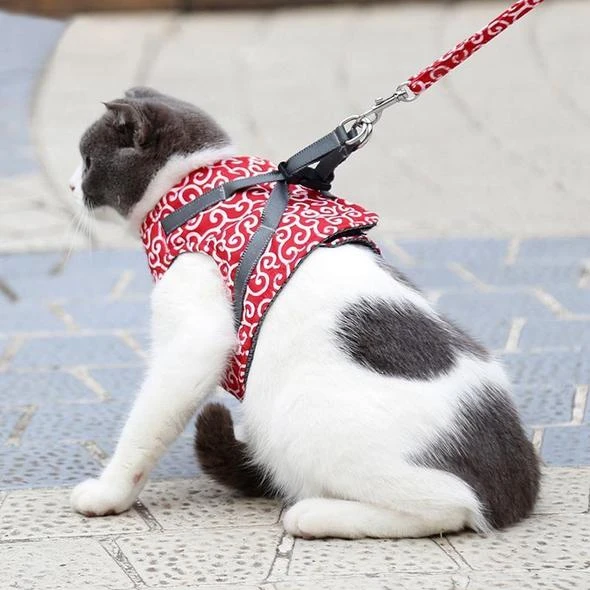 🔥This Week's Special Offer 49% OFF - Cat Vest Harness and Leash Set(Buy 2 Get Extra 10% OFF & Free Shipping)