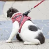 💖2022 Mother's Day Promotion- 48% OFF🌹Cat Vest Harness and Leash Set(Buy 2 Get Extra 10% OFF & Free Shipping)