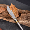 Meteorite Damascus Collectible Knife