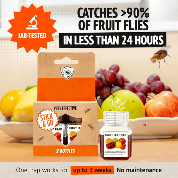 ⏰LAST DAY SALE 50% OFF🔥Ultra-Strong Fruit Fly Trap - User Friendly (Up to 3 Weeks per Bottle)⚡BUY 2 GET 1 FREE