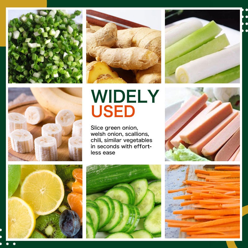 Multi-functional Foods Speedy Chopper