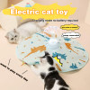 50% OFF-Turntable Fun Interactive Cat Toy