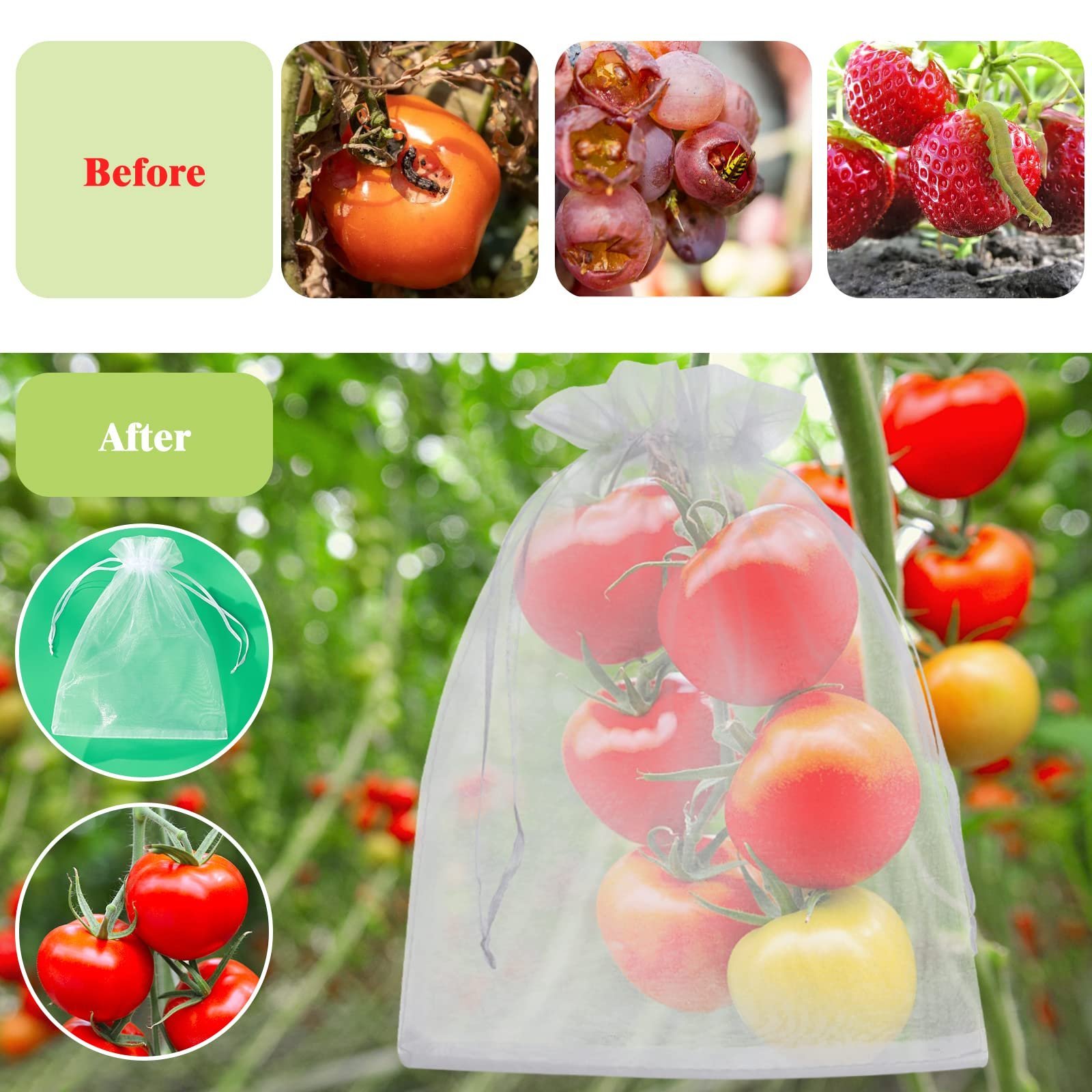 🎁TikTok Last Day Sale - 70% OFF🎉Fruit Protection Bags