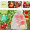 🎁TikTok Last Day Sale - 70% OFF🎉Fruit Protection Bags