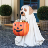 (🎃Halloween Hot Sale 65% OFF🎃) GHOST DOG CANDY BOWL