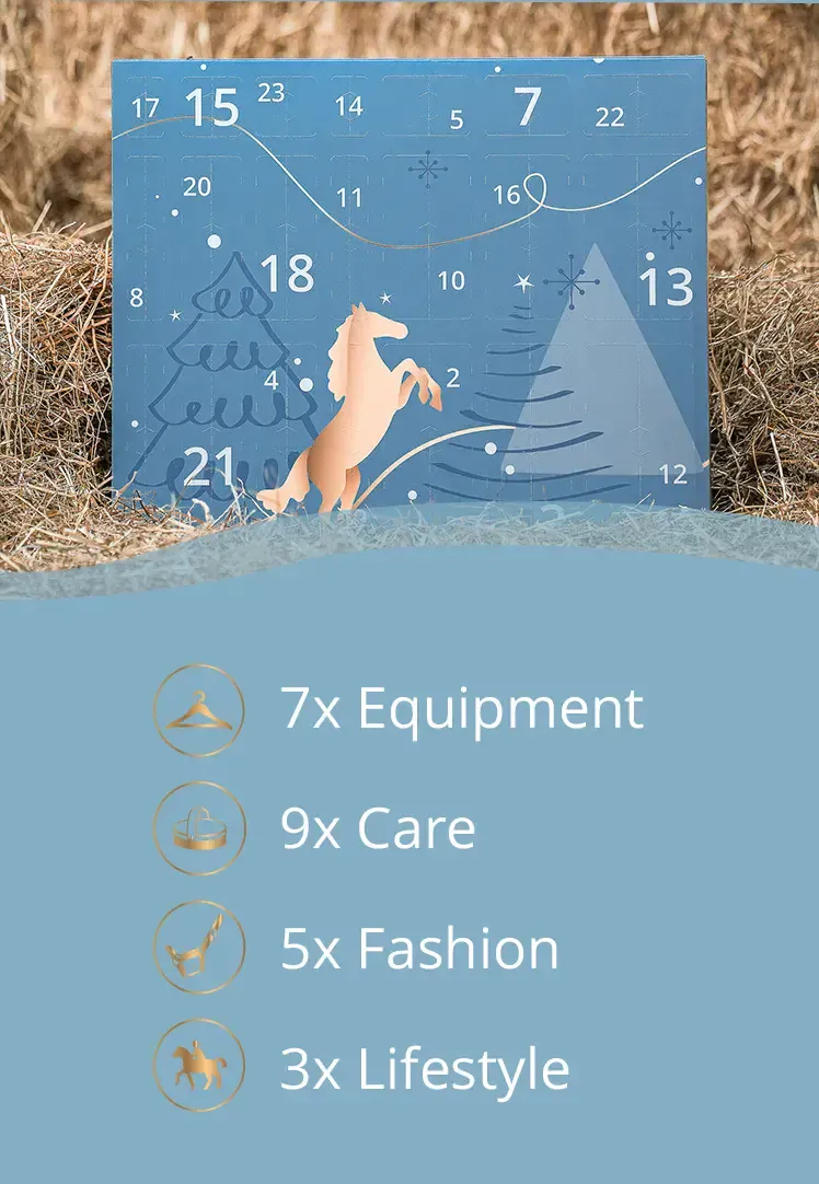 🎄TikTok Christmas Sale - 70% OFF🎄Horsebrands Advent Calendar 2024🐎