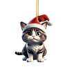 🐾🎄Christmas Cat Ornaments🐱