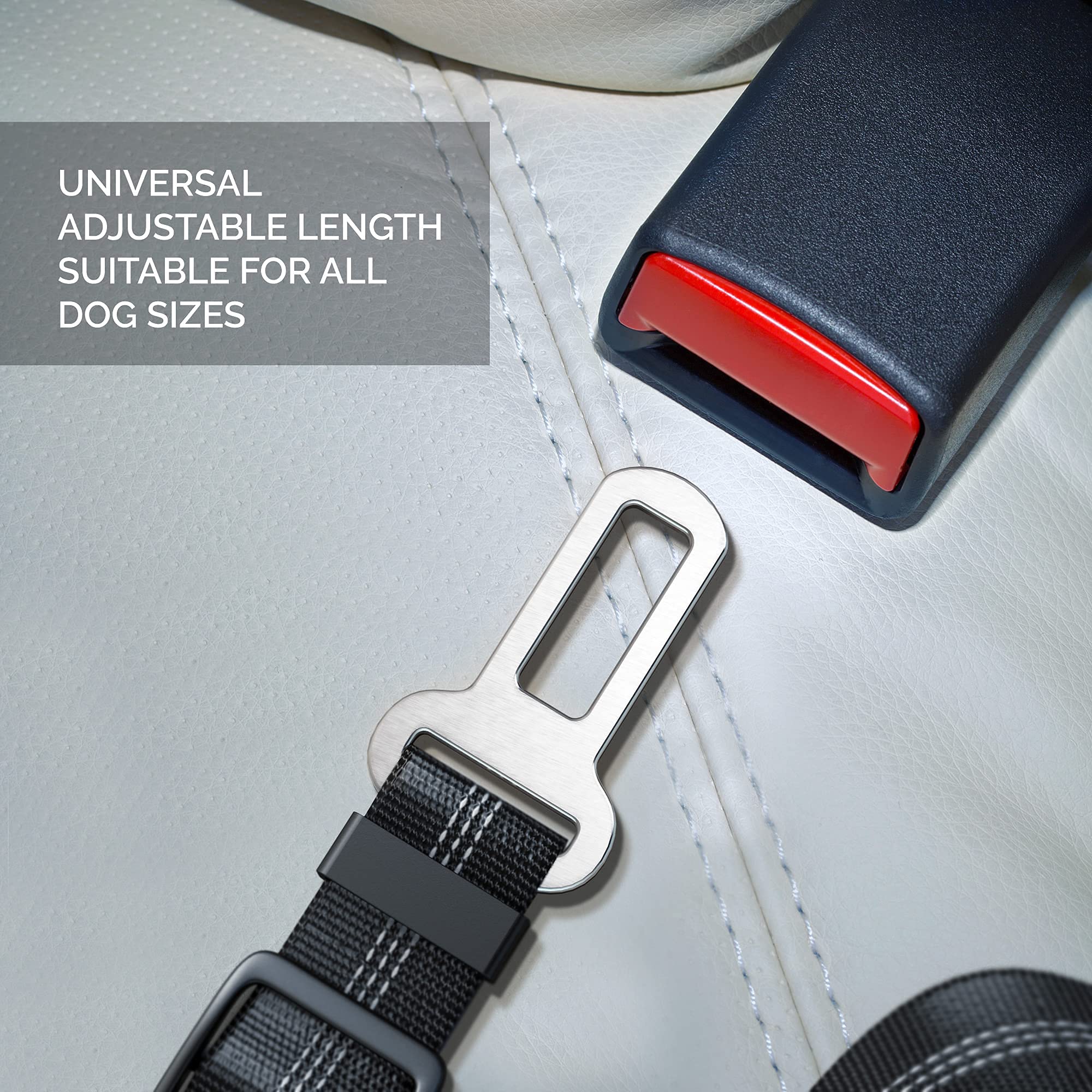 🔥Hot Sale 49% OFF-Adjustable Elastic Dog Seat Belt🎉BUY 2 FREE SHIPPING🎉