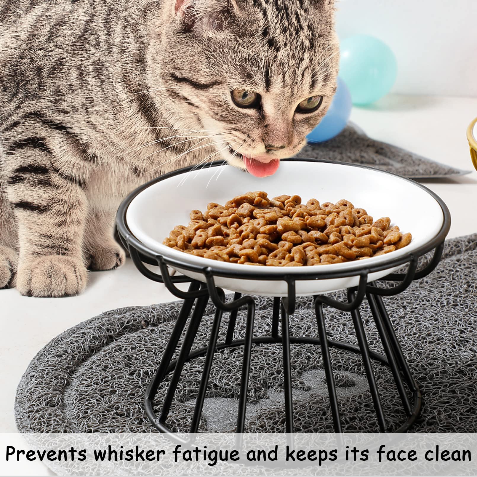 (🔥Last Day Promotion-70%OFF)🥣Whisker-Friendly Anti-Vomit Cat Plate ✨BUY 2 FREE SHIPPING