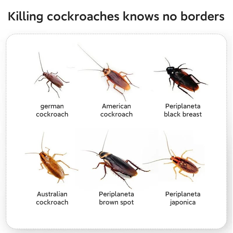 💯2023 All New 🚫 Cockroach Killer - Insecticide Bait🤩 “Imidacloprid“ content: 2.5%😎