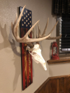 European Deerstalker USA Plaque