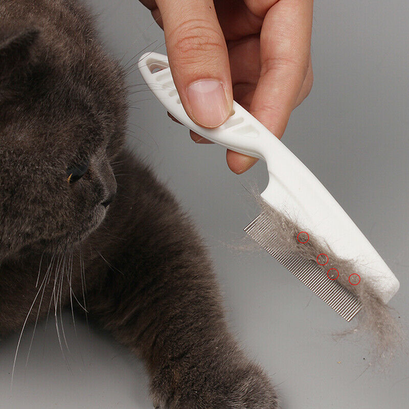 Pet Hair Comb Hair Removal and Flea Busters