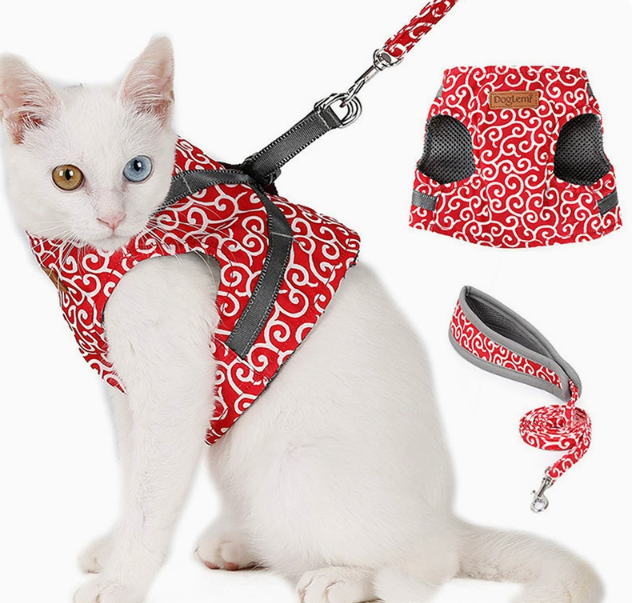 🔥This Week's Special Offer 49% OFF - Cat Vest Harness and Leash Set(Buy 2 Get Extra 10% OFF & Free Shipping)