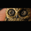 🎁TikTok Last Day Sale - 70% OFF🦉Handmade Owl Fidget Pendant