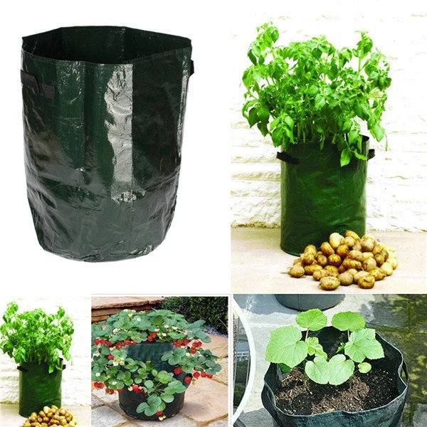 Early Summer Hot Sale 48 % OFF - 10 Gallons Potato Grow Planter PE Container Bag- (Buy 5 get 3 free+free shipping)