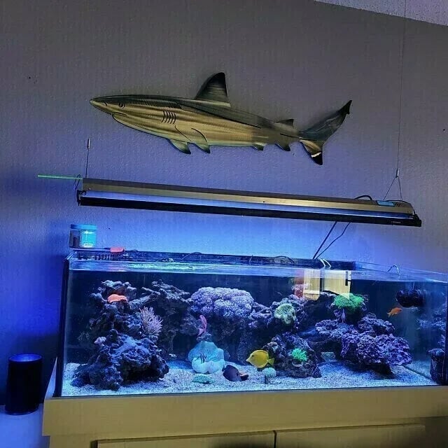 🔥Last Day 49% OFF🔥 - 🦈 Metal Shark Art Wall Decor