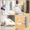 😽😽Catnip Ball For Cats Edible Toys🔥BUY 2 GET 1 FREE