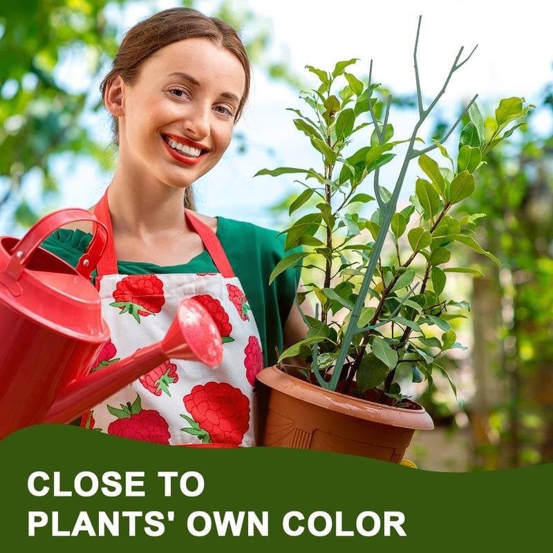 🍂TikTok Fall Mega Sale - 70% OFF🎉Plant Support Stakes🌿💖💕