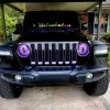 🎁TikTok Last Day Sale - 70% OFF🔥Beast Eyes Headlight Decals (Pair)