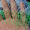 🎣 Summer Sale-50% OFF🐠Fishing Net Open Diameter 350cm